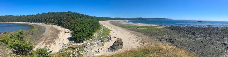 Ozette Triangle: The Beach-Forest Loop Adventure
