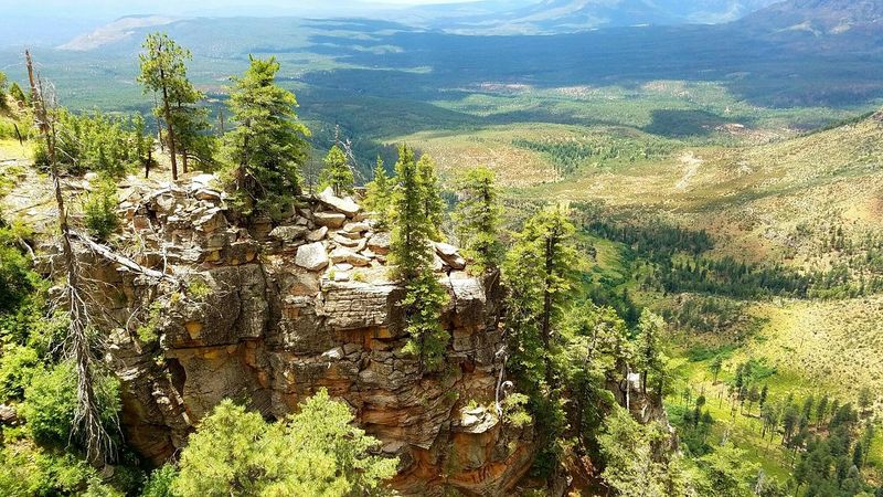 Payson