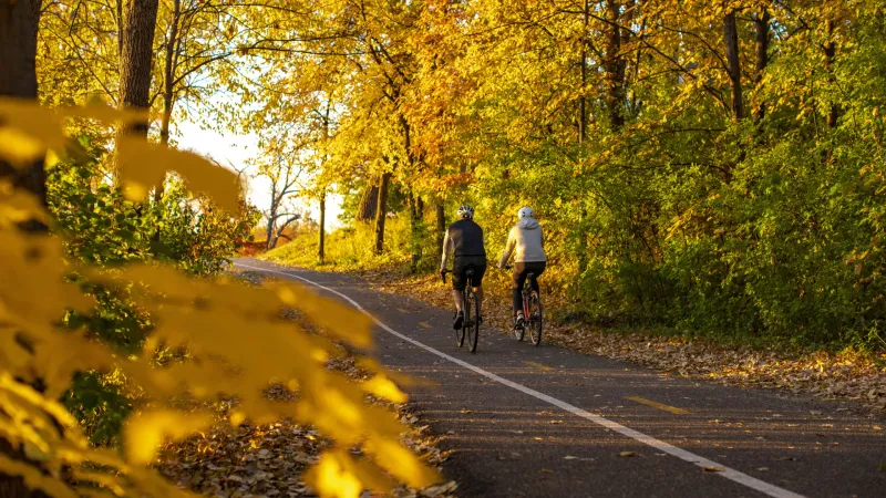 Lakeside Color Tour At Chain Of Lakes