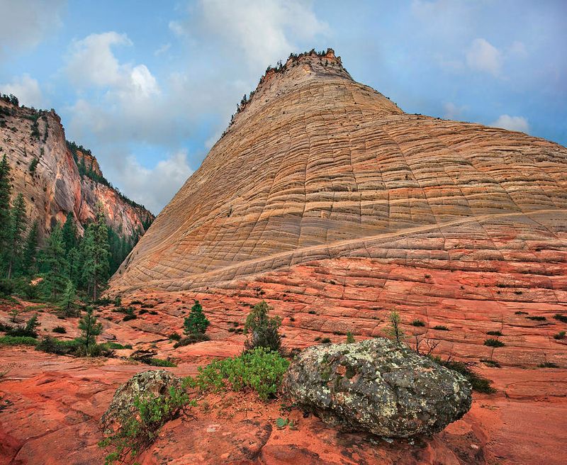 Zion’s Checkerboard Mesa