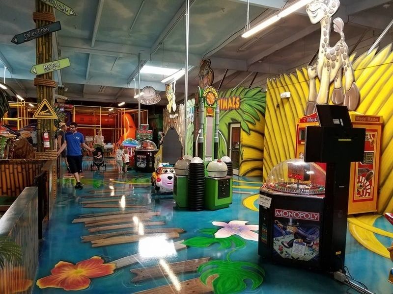 Party Jungle