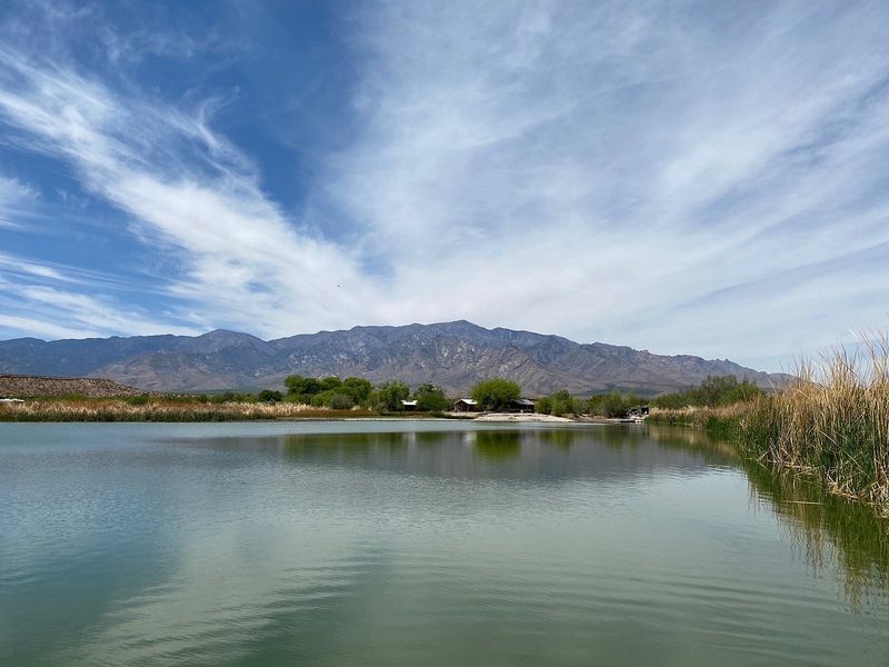 Roper Lake: Eastern Arizona's Mountain-View Retreat