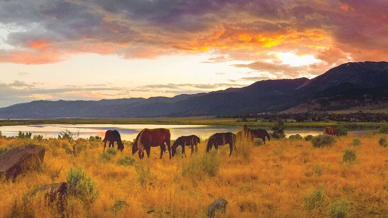 Washoe Lake Overlook