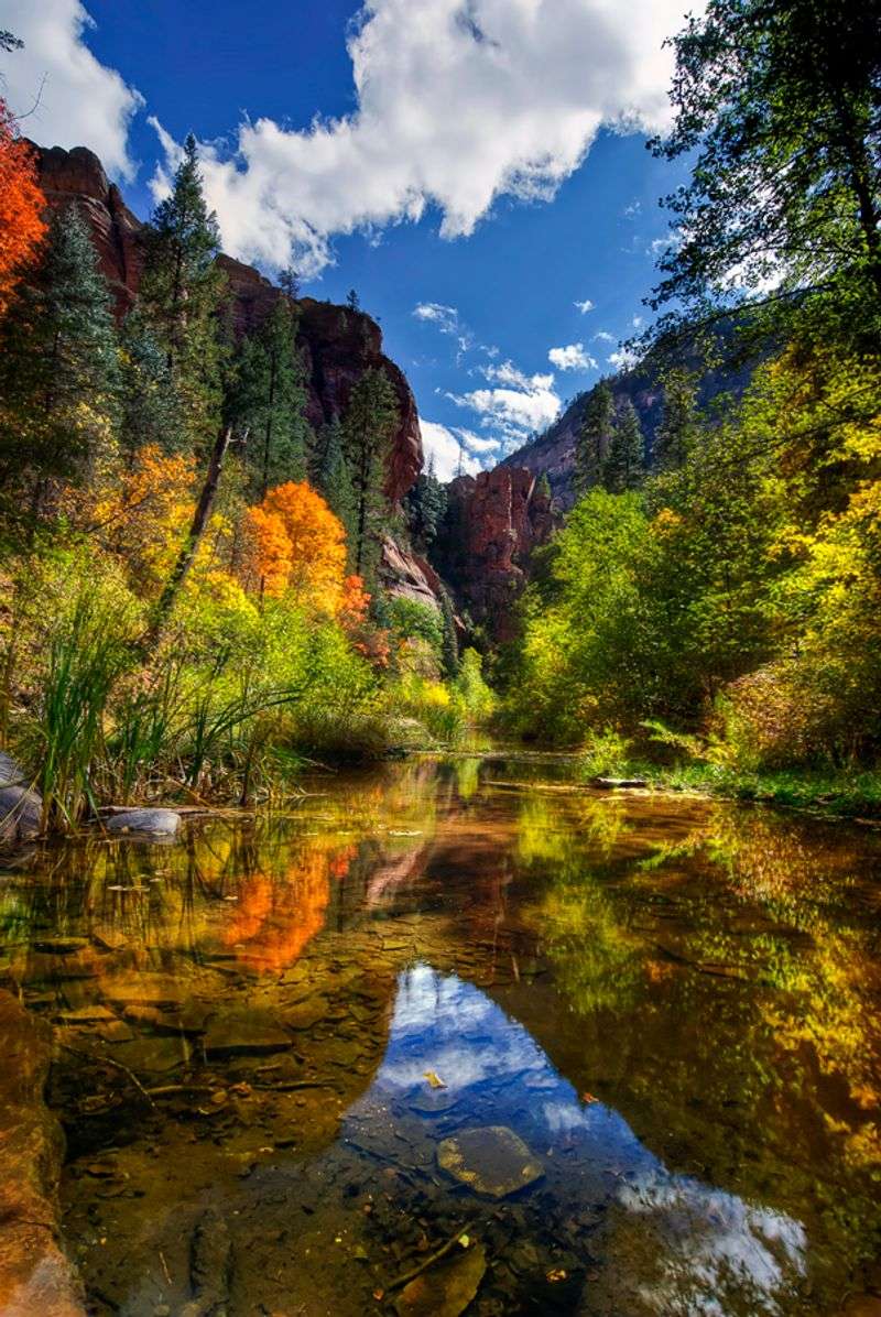 West Fork Trail: Creek-Side Color Explosion