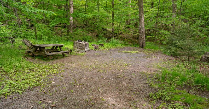 Devil's Tombstone Primitive Campground