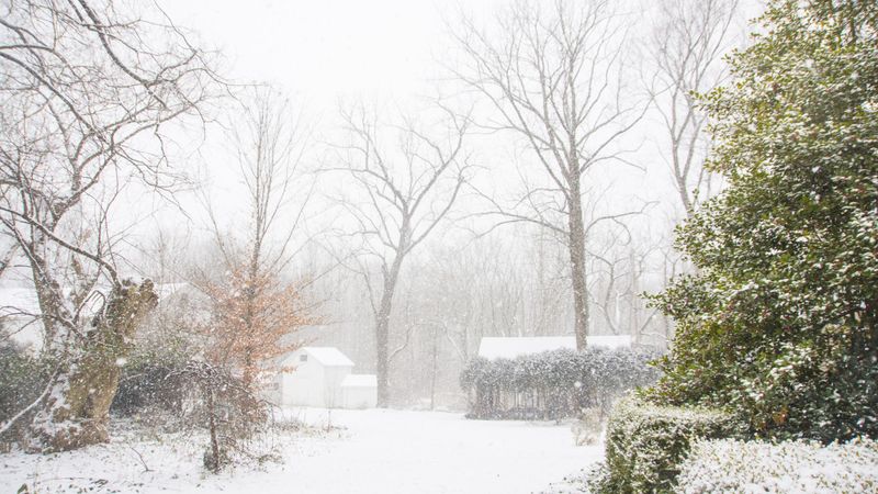 Lake Erie's Snowy Neighbors