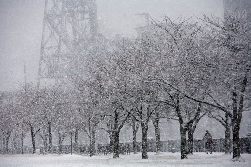 Valley Floor Snow: Will Portland See a White Christmas?