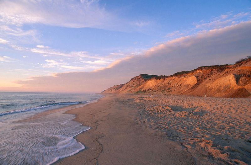 Wellfleet