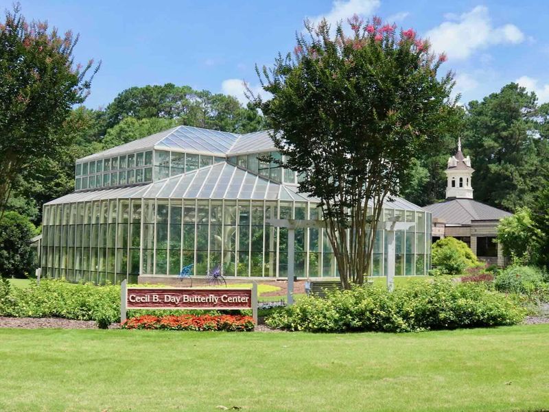 Callaway Gardens: Blooms and Butterflies in Pine Mountain