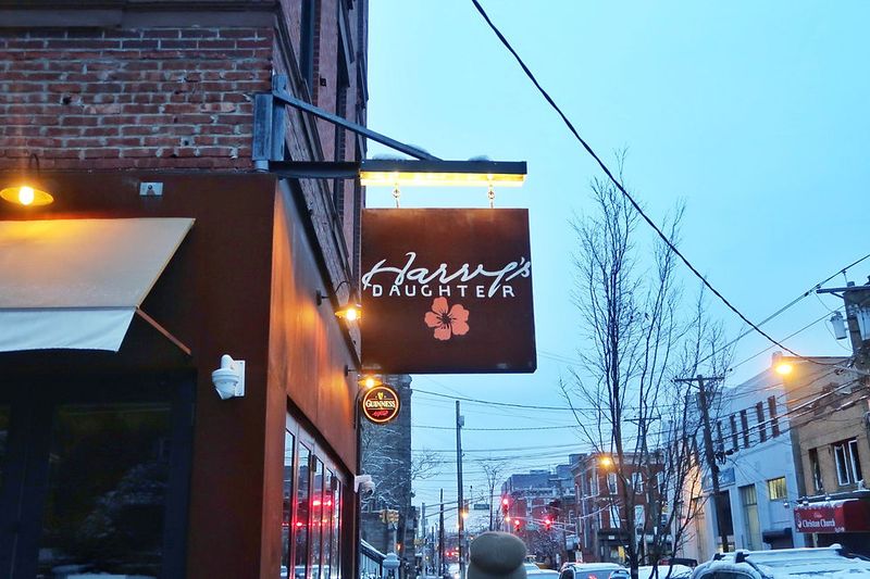 Harry's Daughter: Jersey City's Island Escape