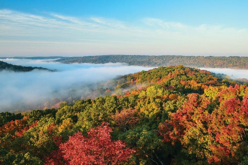 Buzzard Roost Overlook in Shawnee State Forest: Vast Views of the Little Smokies