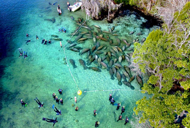 Three Sisters Springs Wildlife Refuge