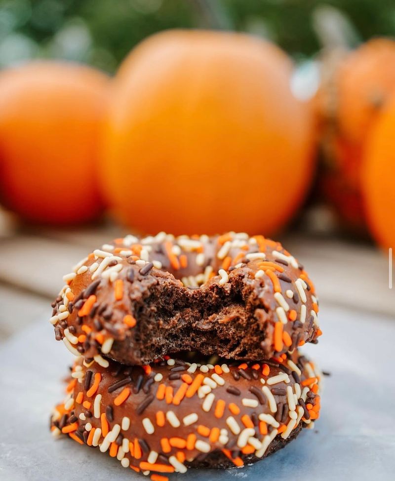 Fleitz Pumpkin Farm: Oregon's Laid-Back Autumn Escape