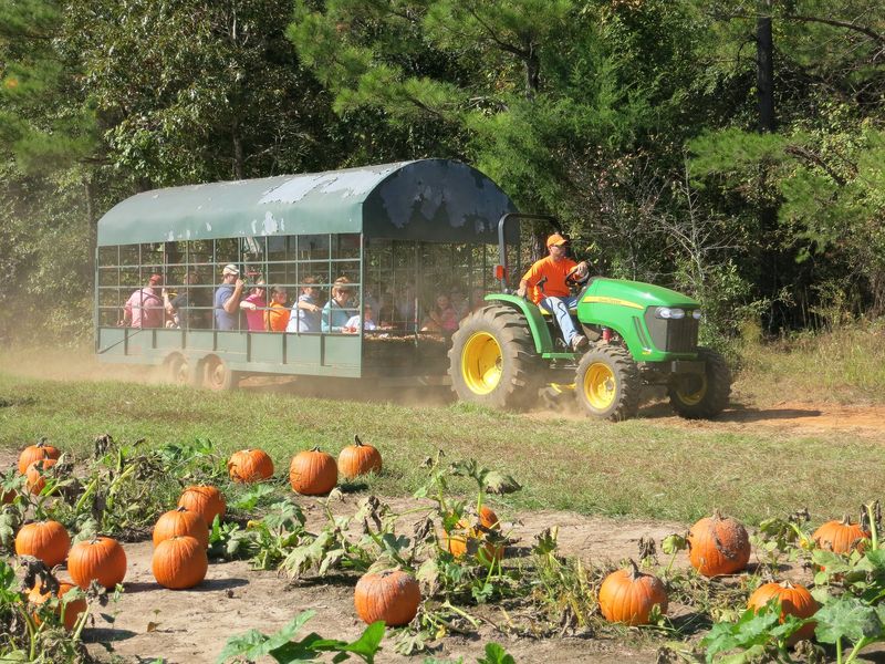 Spooky Trails Farm's Hayride Harvest Adventure