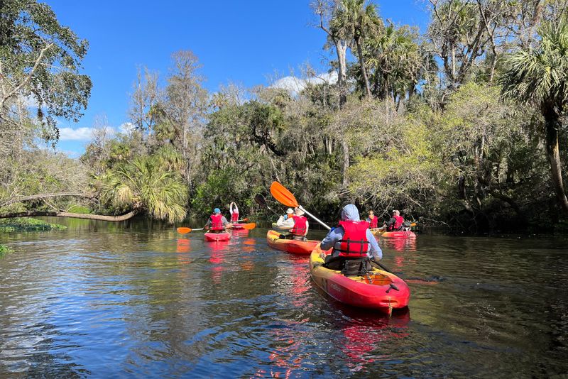 Hillsborough River State Park: Wild Rapids Just Minutes Away