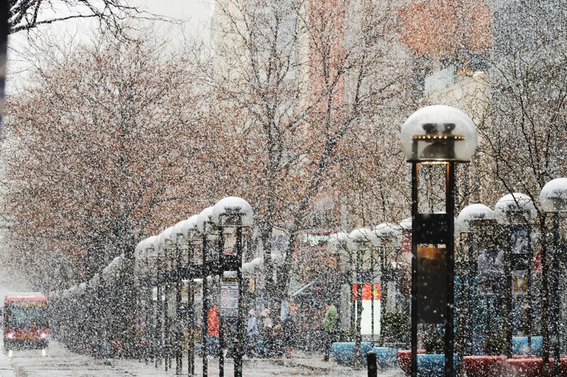 What Those First Flakes Actually Look Like