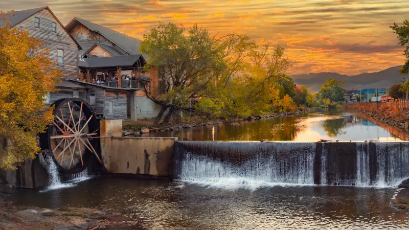 The Old Mill Restaurant: Riverside Heritage with Flavor