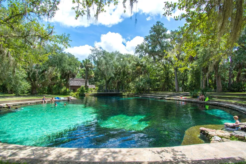 Juniper Springs - Mountain-Cold Clarity