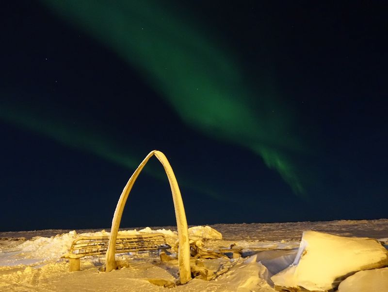 Utqiagvik (Barrow): Edge of the World Aurora
