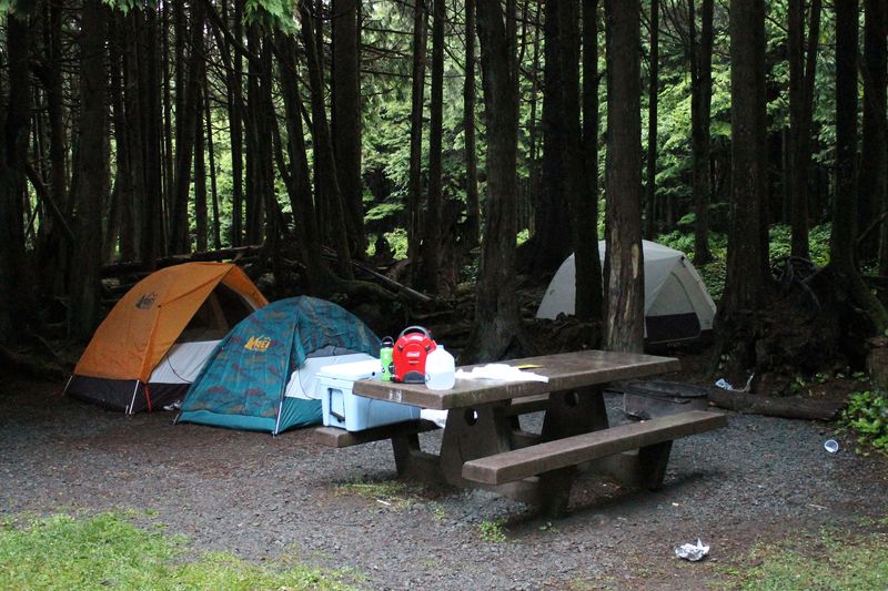 Kalaloch Campground