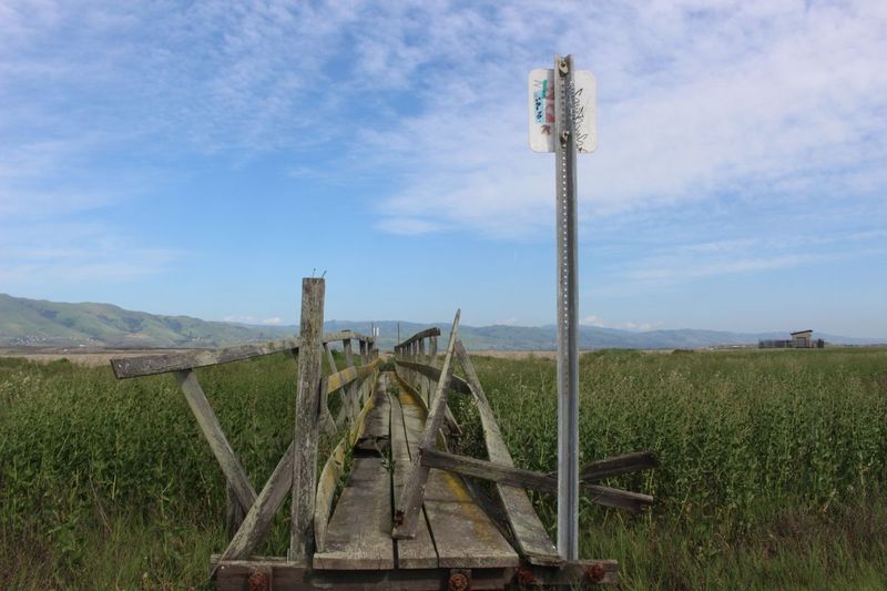 Drawbridge Ghost Town Bridge: The Vanishing Railway Crossing