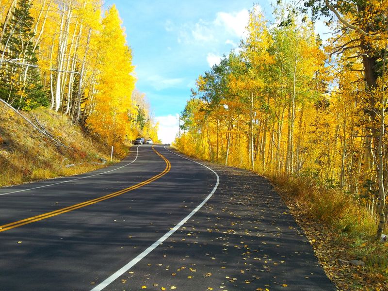 Scenic Drives & Nature Walks In State Parks