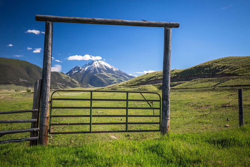 The Landscape as a Partner
