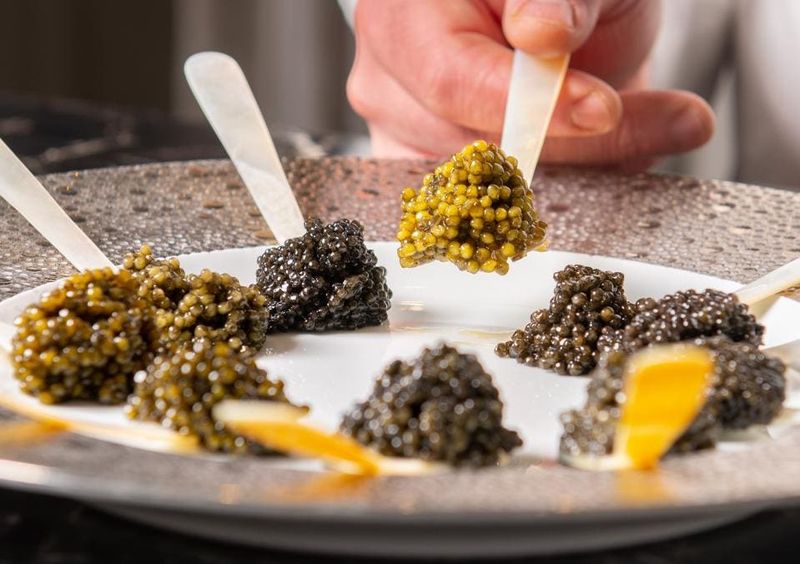 Exclusive Events and Immersive Tasting Menus