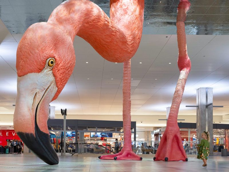 Phoebe the Flamingo, Tampa International Airport (Tampa)