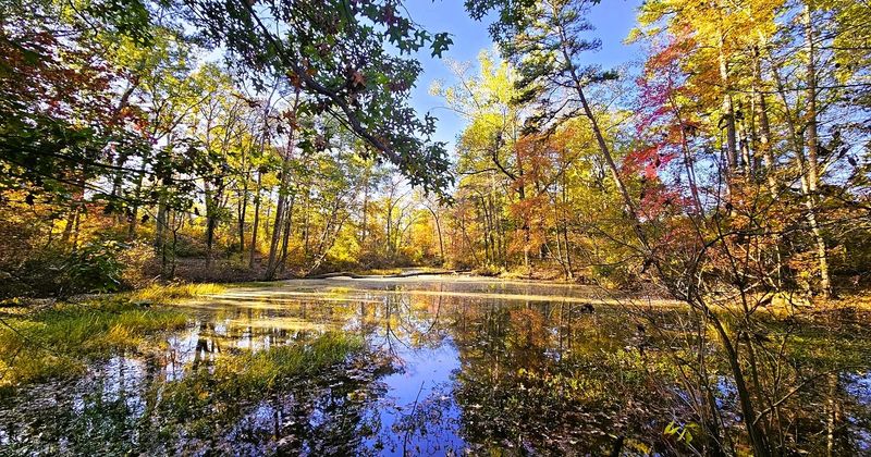 Lake Bob Sandlin State Park