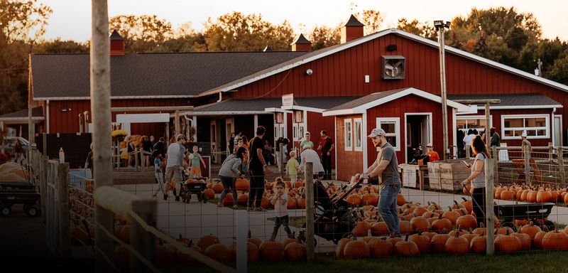 Gull Meadow Farms in Richland: Pumpkins with a Country Setting