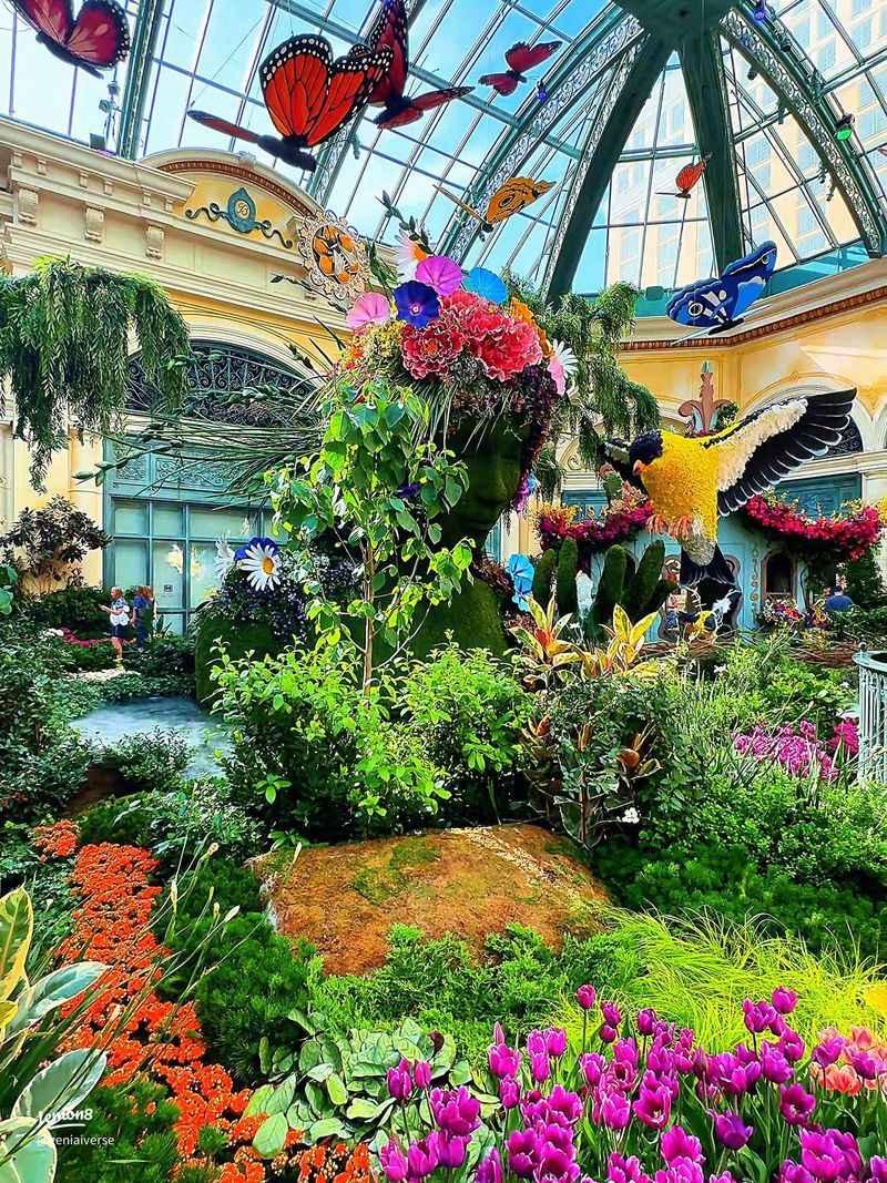 Nighttime Stroll Through the Bellagio Conservatory