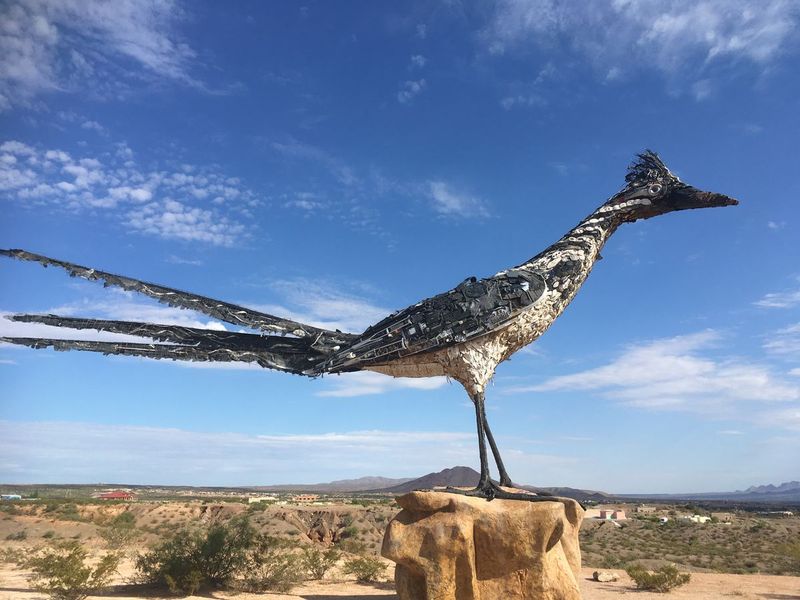 Recycled Roadrunner: Trash Transformed Into Treasure