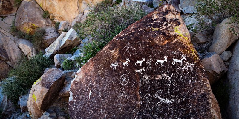 Grapevine Canyon: Ancient Art and Spring Oasis