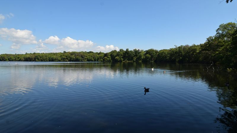 Lake Margrethe