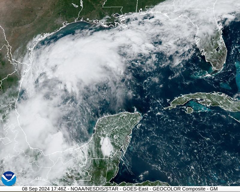 Monitor Weather Like A Local