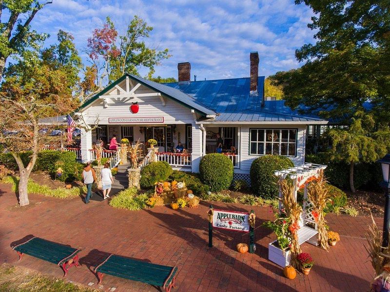 Applewood Farmhouse Restaurant: Orchard Views and Country Comfort