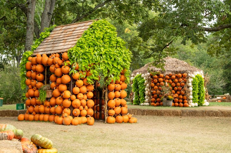 Experience Magical Harvest Nights at Cheekwood