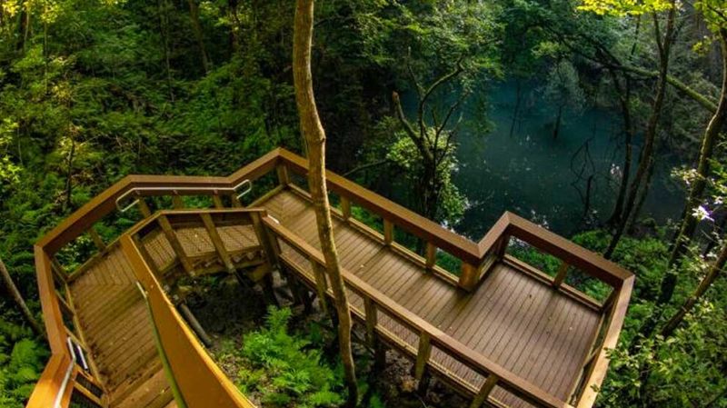 Devil’s Millhopper Geological State Park