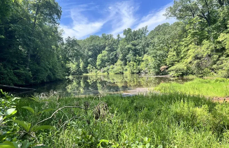 Clear Creek Metro Park