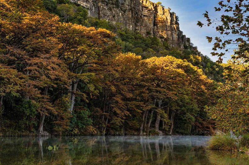 Garner State Park: Riverfront Foliage Along the Frio