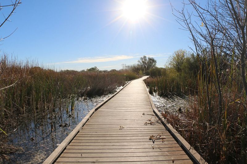 I-20 Wildlife Preserve (Midland)
