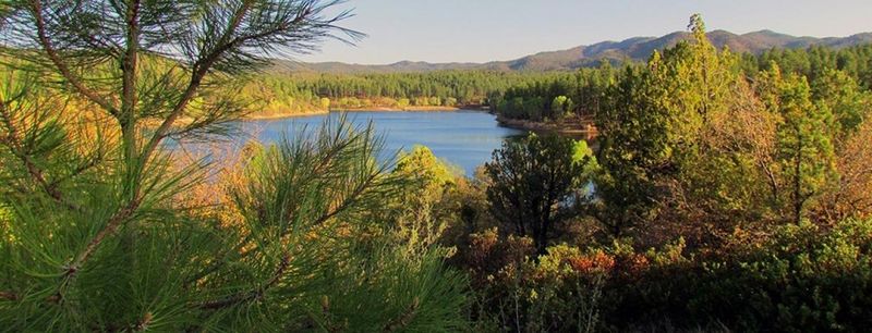 Lynx Lake, Prescott National Forest
