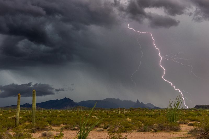 Monsoon Lightning Strikes Without Warning