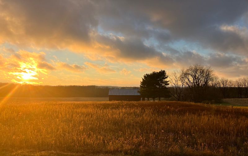 Avian Acres Farm Park