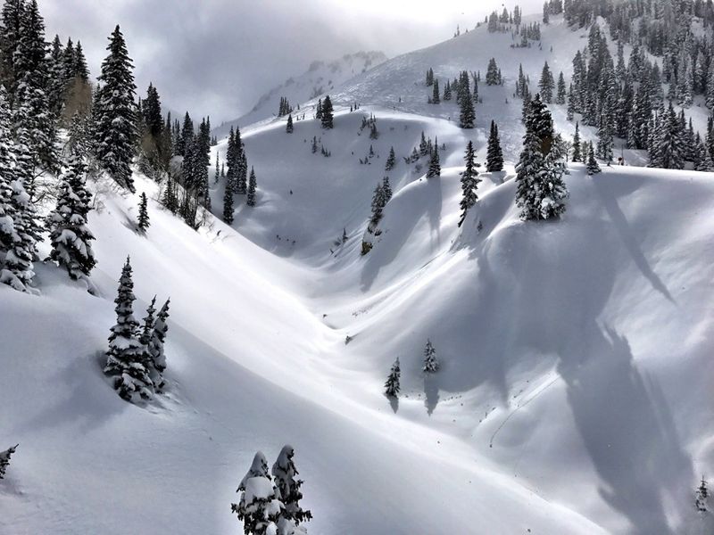 Alta Ski Area: Powder Paradise For Purists