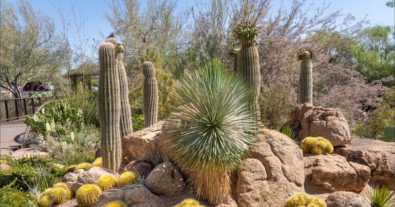 UNLV Arboretum: Desert Education Oasis
