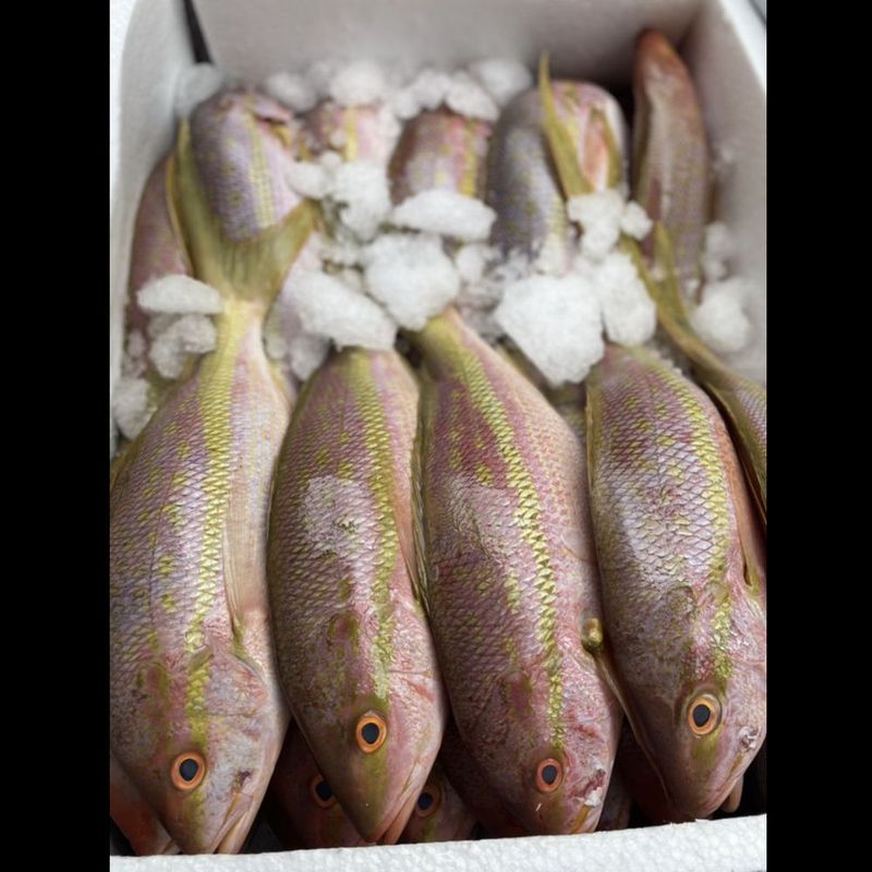 Florida Fresh Meat and Seafood Market: Davie's Local Treasure