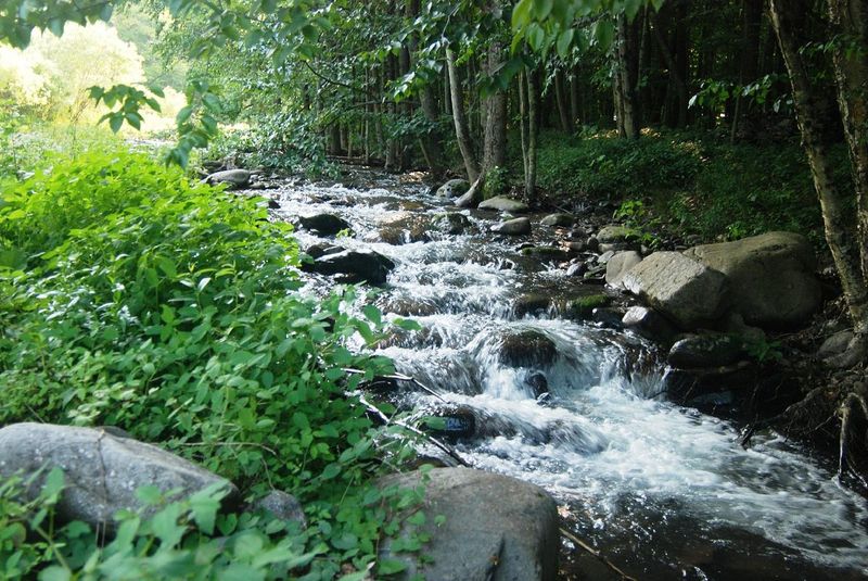 Woodland Valley's Hidden Retreats
