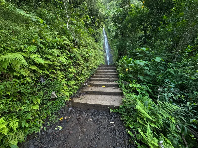 Manoa Falls (Oahu)